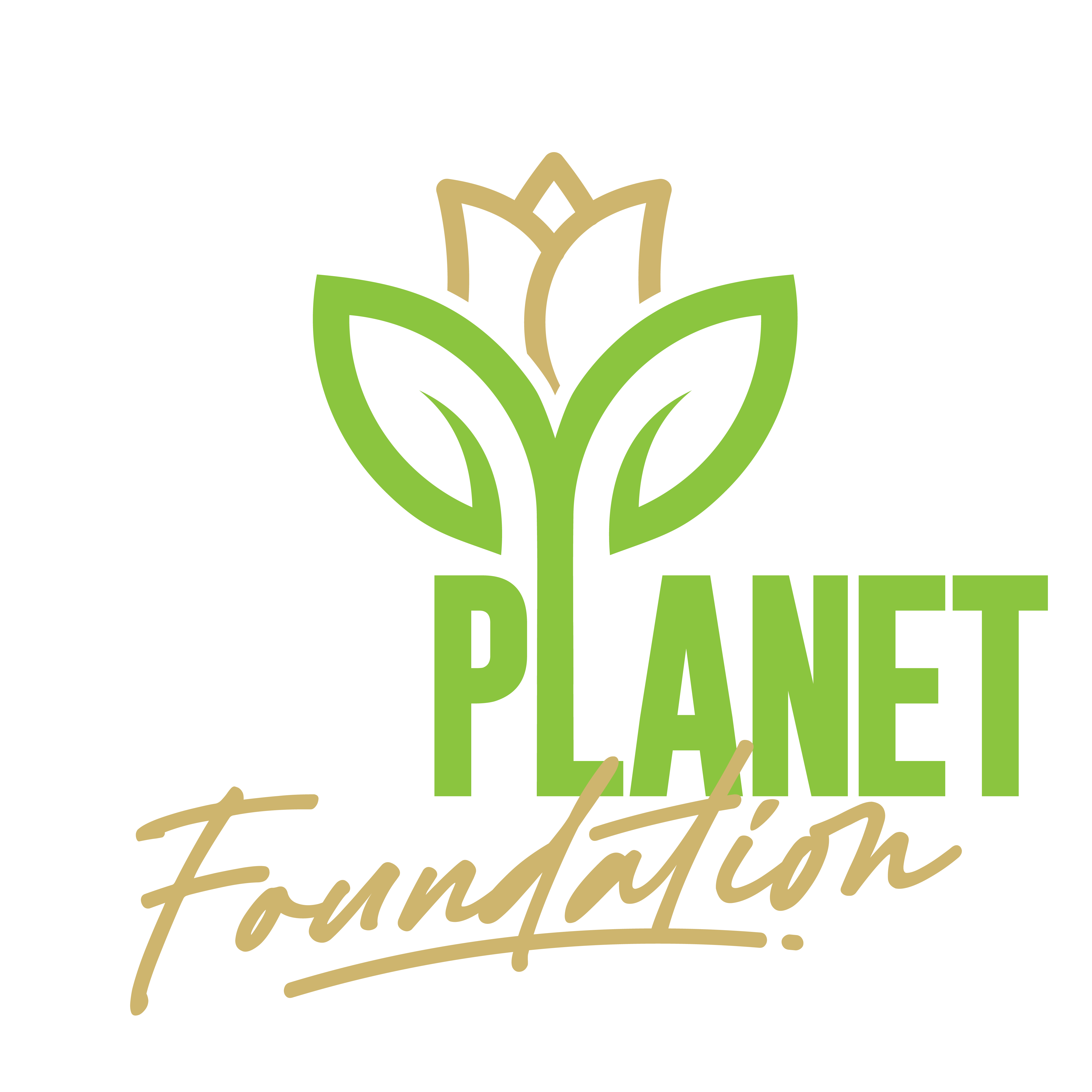 Agri Planet Foundation logo